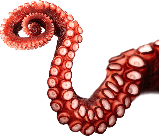 tentacles-2