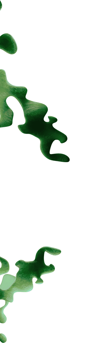 seaweed-1