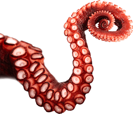 tentacles-1